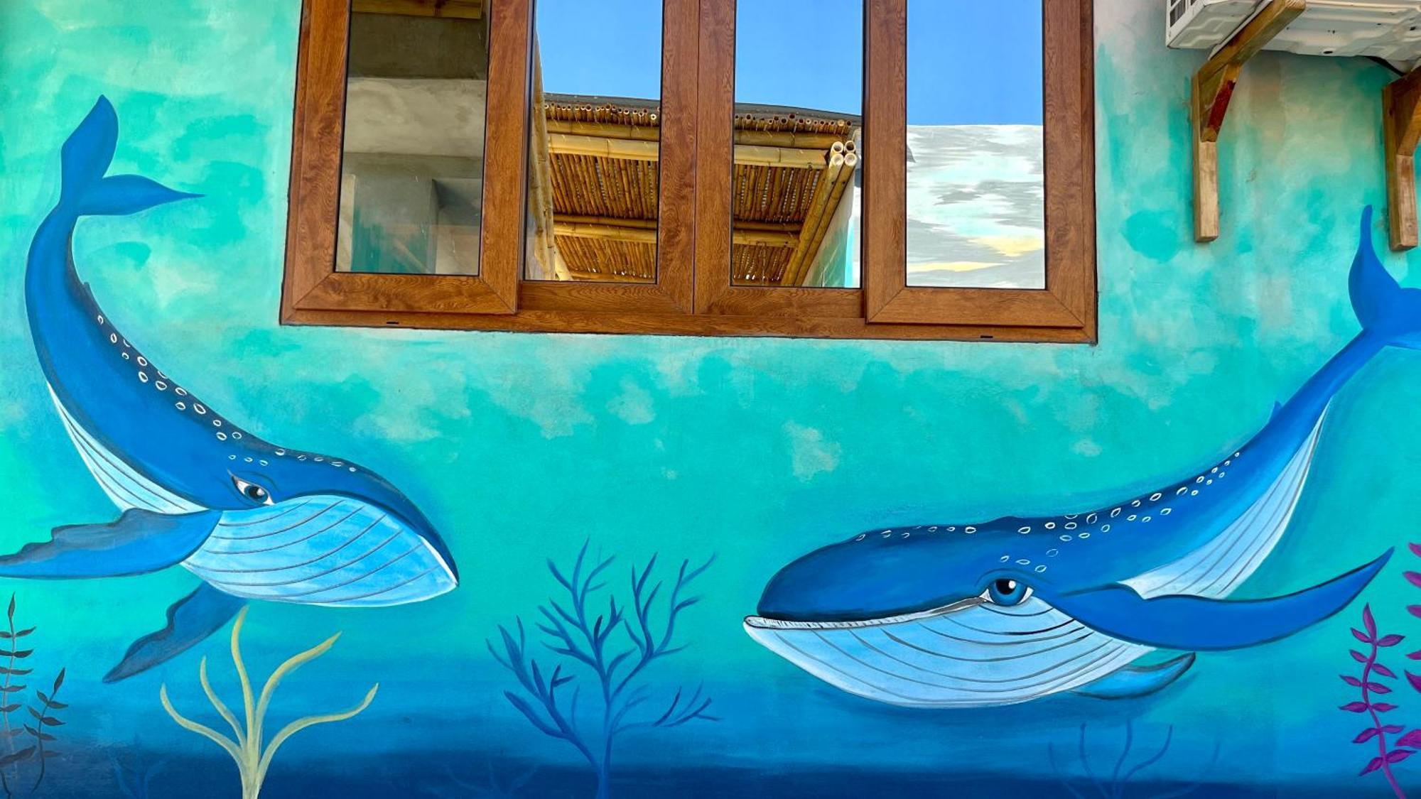 Shanti Surf Camp El Paredón Buena Vista 外观 照片